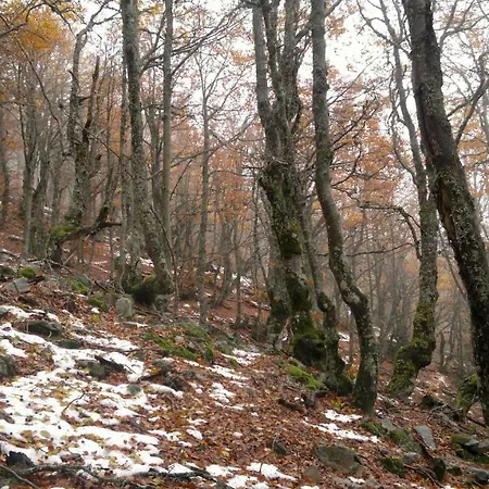Rural La Romerosa Hotel