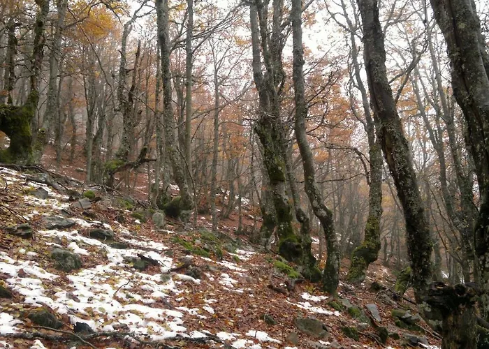 Rural La Romerosa Hotel